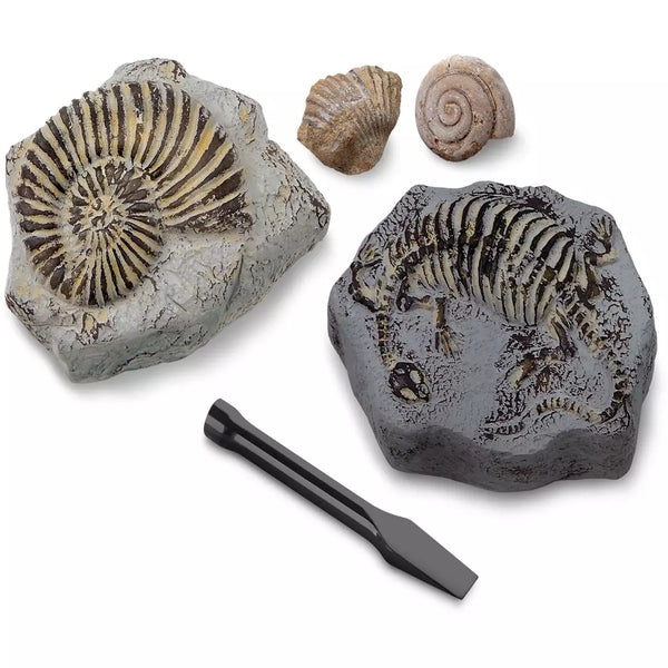 Discovery #MINDBLOWN Toy Excavation Kit Mini Fossil, 2 Pieces