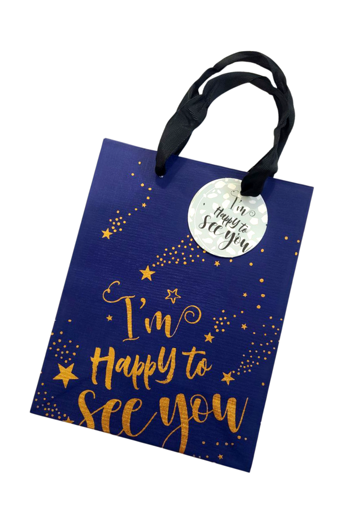 Gift Paper Bag, Vertical 18x10x23cm EVERYDAY THEME